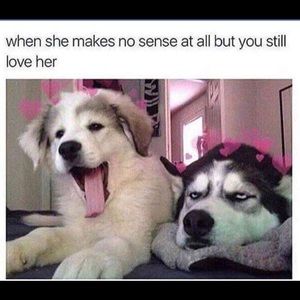 Meet your Posher, Malesha